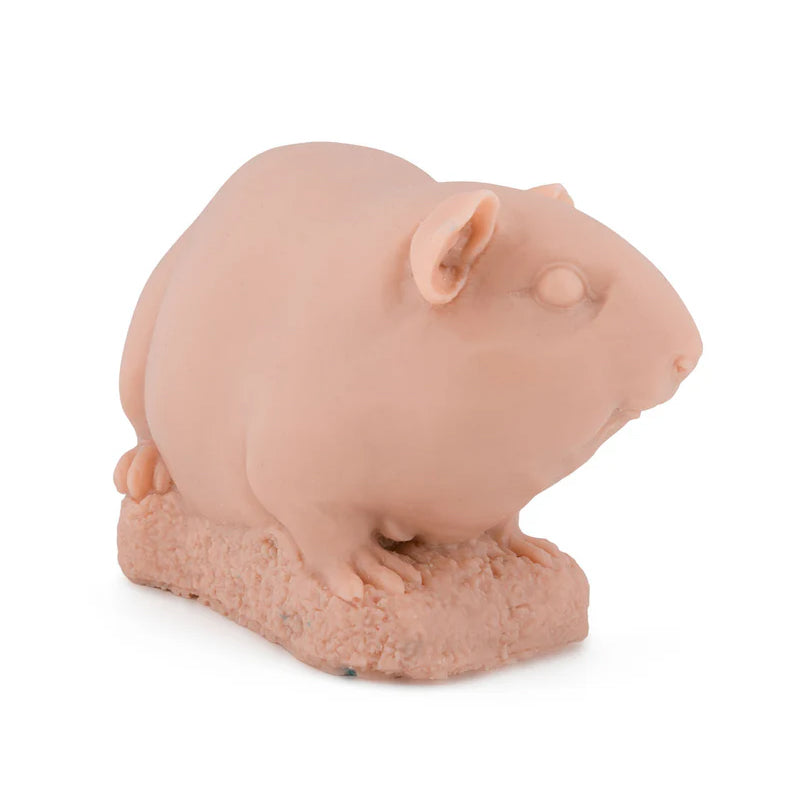 A Pound of Flesh - Guinea Pig - tommys supplies