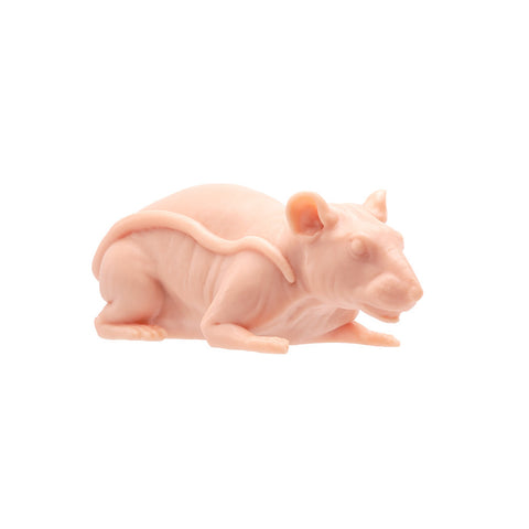 A Pound of Flesh - Tattooable Naked Rat